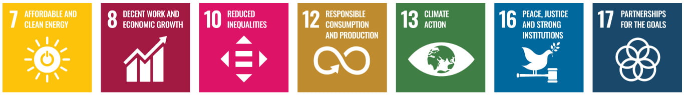 SDG goals